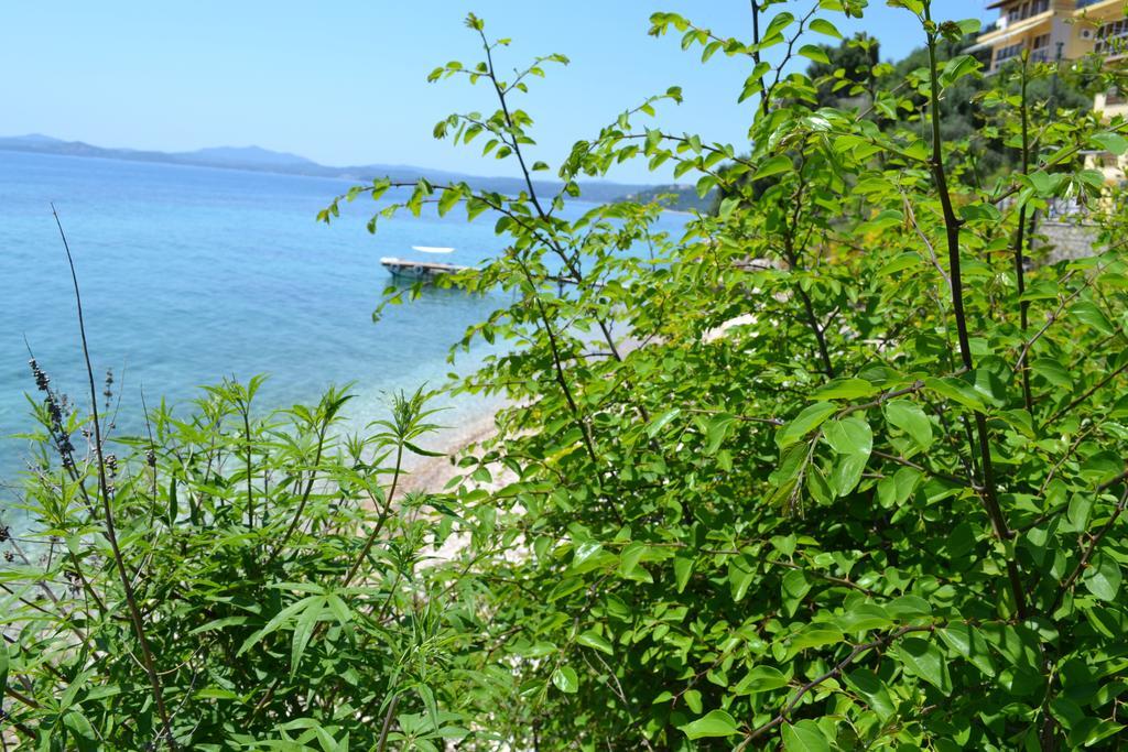 בארבאטי Glyfa Corfu Apartments מראה חיצוני תמונה